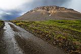 018 Islande 2009